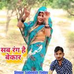 सब रंग है बेकार