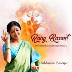 Raag Basant - Dhrut Bandish artwork