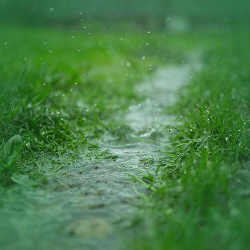 Rain Sounds and Footsteps in Nature for Deep Sleep and Relaxation_poster_image