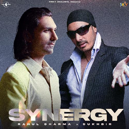 SYNERGY cover art