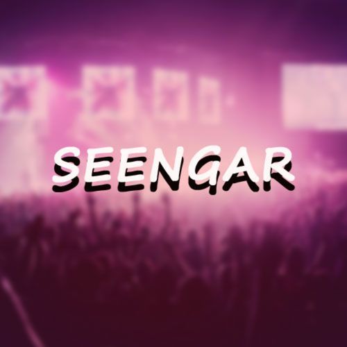 Seengar Album, Vol. 11