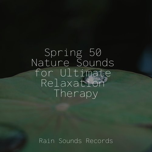 Spring 50 Nature Sounds for Ultimate Relaxation Therapy