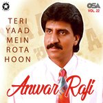 Teri Yaad Mein Rota Hoon, Vol. 22
