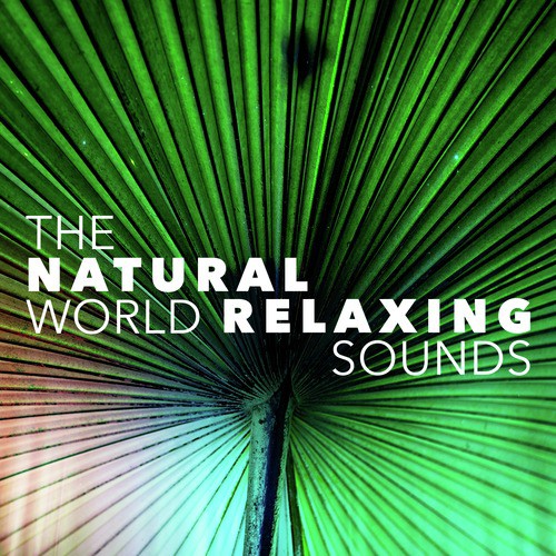 The Natural World: Relaxing Sounds