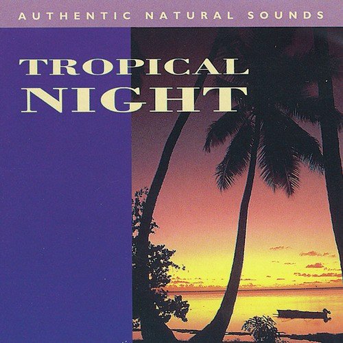 Tropical Night