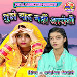 Tujhe Yad Nahin Aayegi