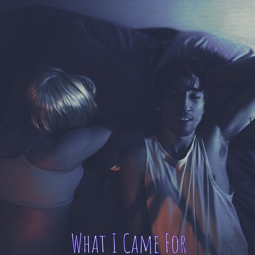 What I Came For_poster_image