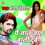 Ye Jan Jat Bani Dube