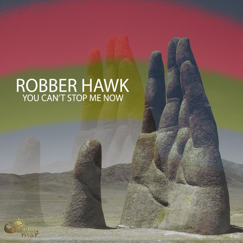 Robber Hawk