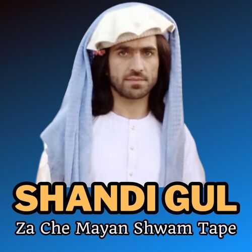 Za Che Mayan Shwam Tape_poster_image