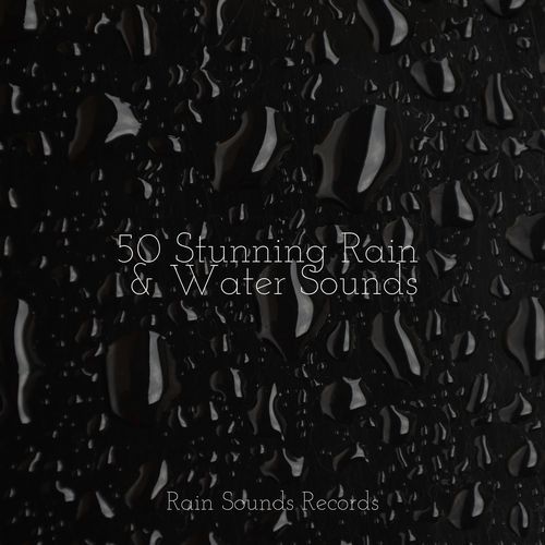 50 Stunning Rain & Water Sounds