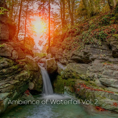 Nature Drone cover art