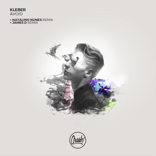 Avoid (Natalino Nunes Remix) cover art