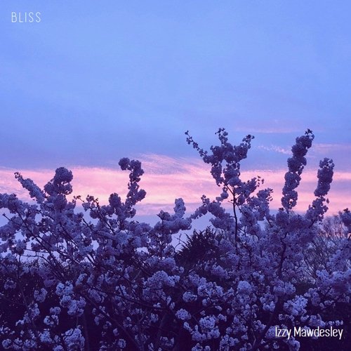 Bliss