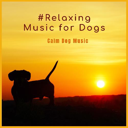 Calm Dog Music