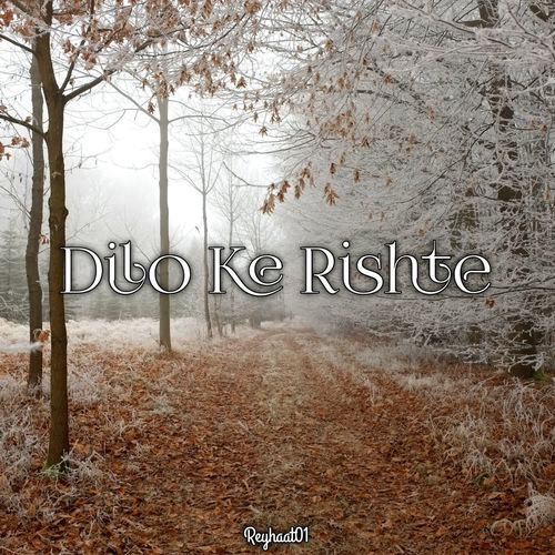 Dilo Ke Rishte