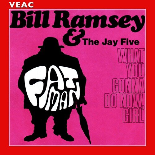 Fat Man cover art