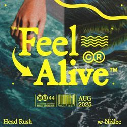 Feel Alive (feat. NIÁLEE)