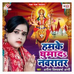 Hamke Ghumada Navratar