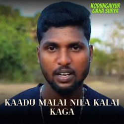 Kaadu Malai Nila Kalai Kaga