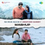 Na Roja Nuvve X Unnatundi Gundey - Mashup
