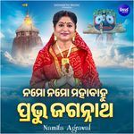 Namo Namo Mahabahu Prabhu Jagannatha