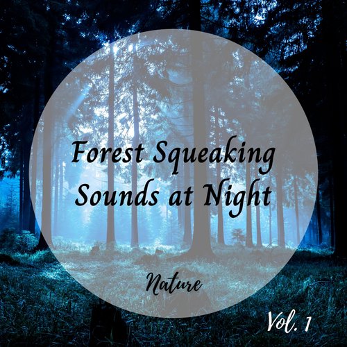 Forest Music cover art