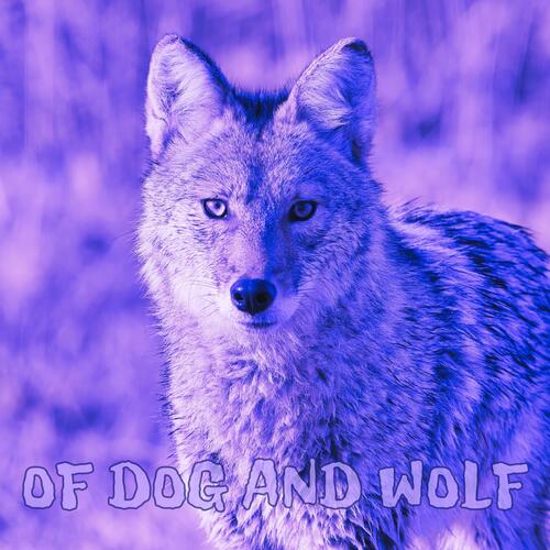 Wolfmother cover art
