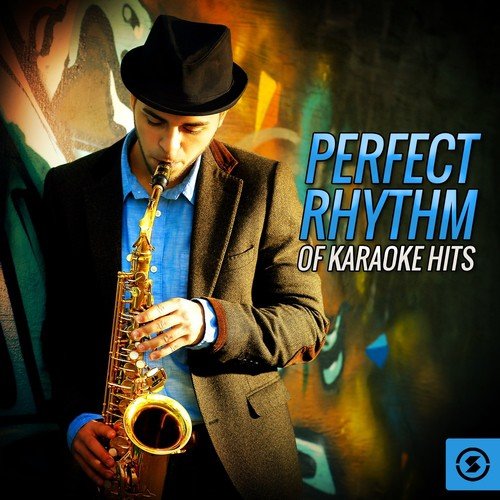 Perfect Rhythm Of Karaoke Hits_poster_image