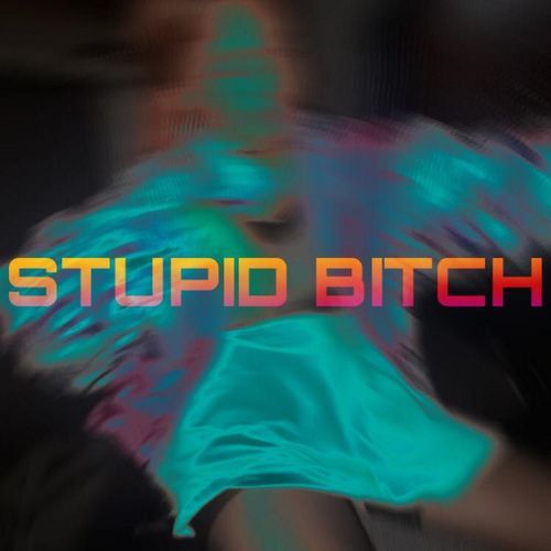 STUPID BITCH