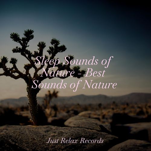 Sleep Sounds of Nature - Best Sounds of Nature