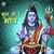 Om Namah Shivaya