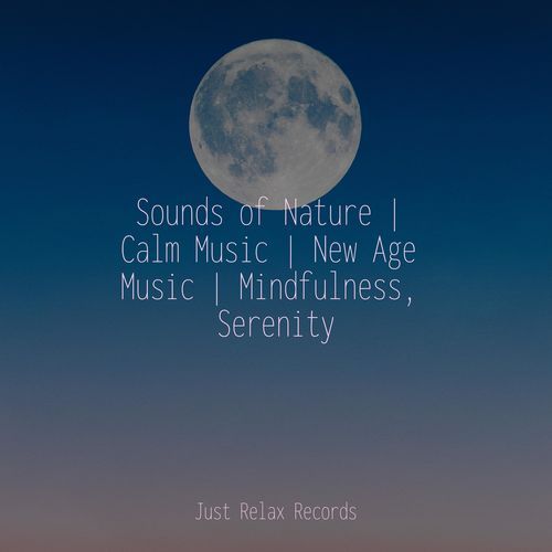 Sounds of Nature | Calm Music | New Age Music | Mindfulness, Serenity_poster_image