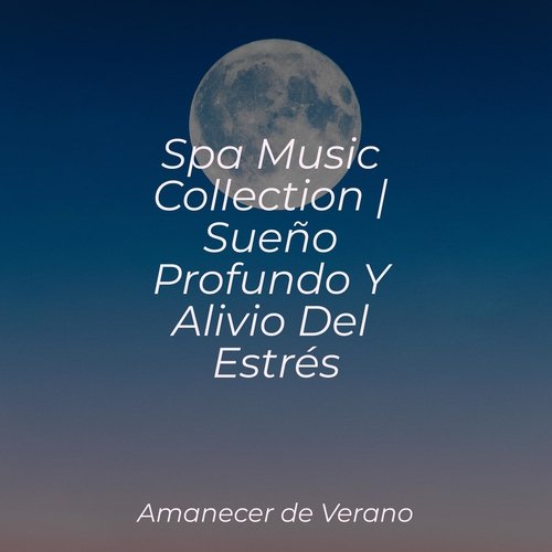 Spa Music Collection | Sueño Profundo Y Alivio Del Estrés