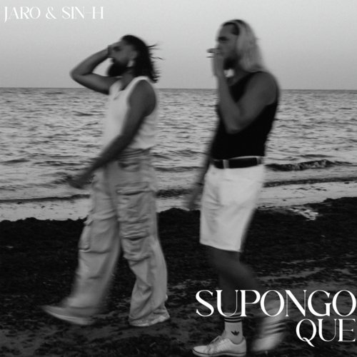 Supongo que..._poster_image