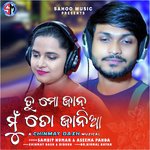 Tu Mo Jaan Mu To Janiyaa