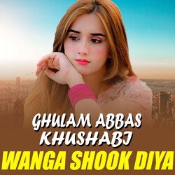 Wanga Shook Diya-Pi8TRj13VV4