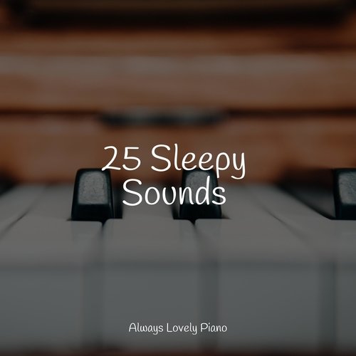 25 Sleepy Sounds
