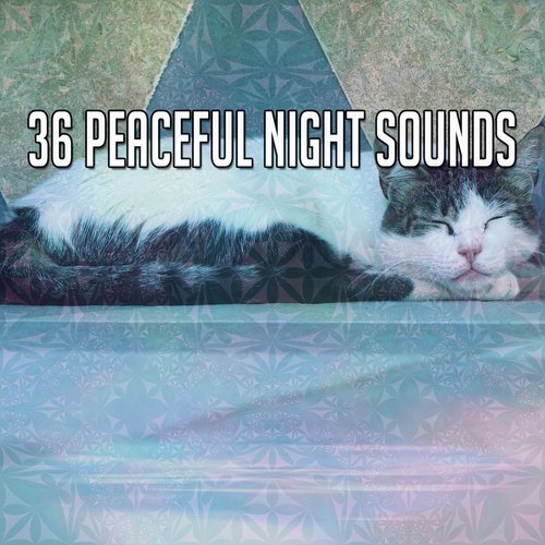 36 Peaceful Night Sounds_poster_image