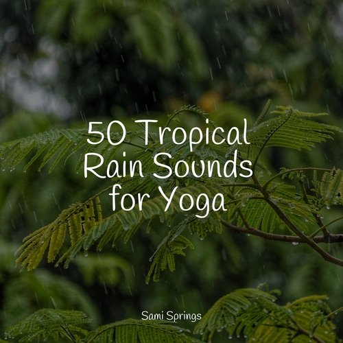 50 Tropical Rain Sounds for Yoga