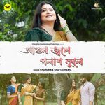 Agun Jwale Polash Phoole