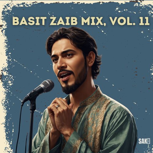 Basit Zaib Mix, Vol. 11