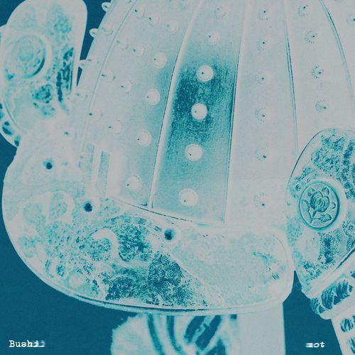 Bushi cover art