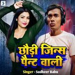Chaudi Jins Paint Wali