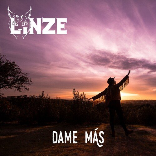Linze cover art