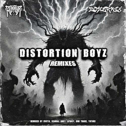 DISTORTION BOYZ (Remix) cover art