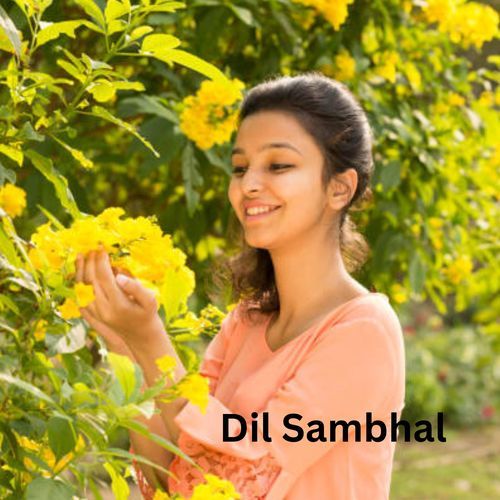 Dil Sambhal