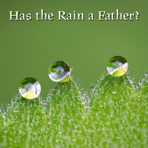 Has the Rain a Father? (Ambient Guitar) cover art