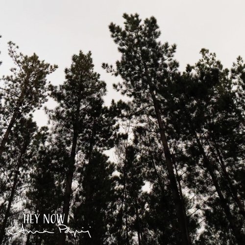 Hey Now cover art