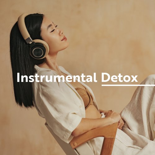 Instrumental Detox: Relaxation Music for Stress and Anxiety Relief, Calming Nature Sounds, Mind &amp; Body Harmony_poster_image